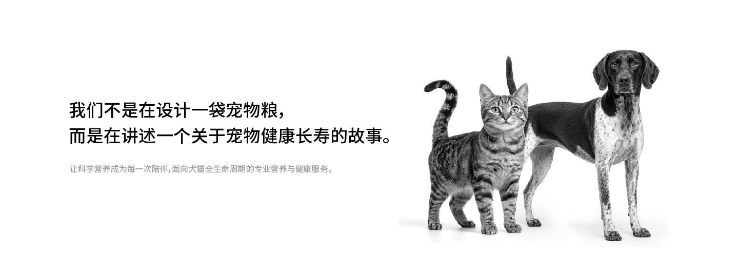 我们不是在设计一袋宠物粮，而是在讲述一个关于宠物健康长寿的故事。