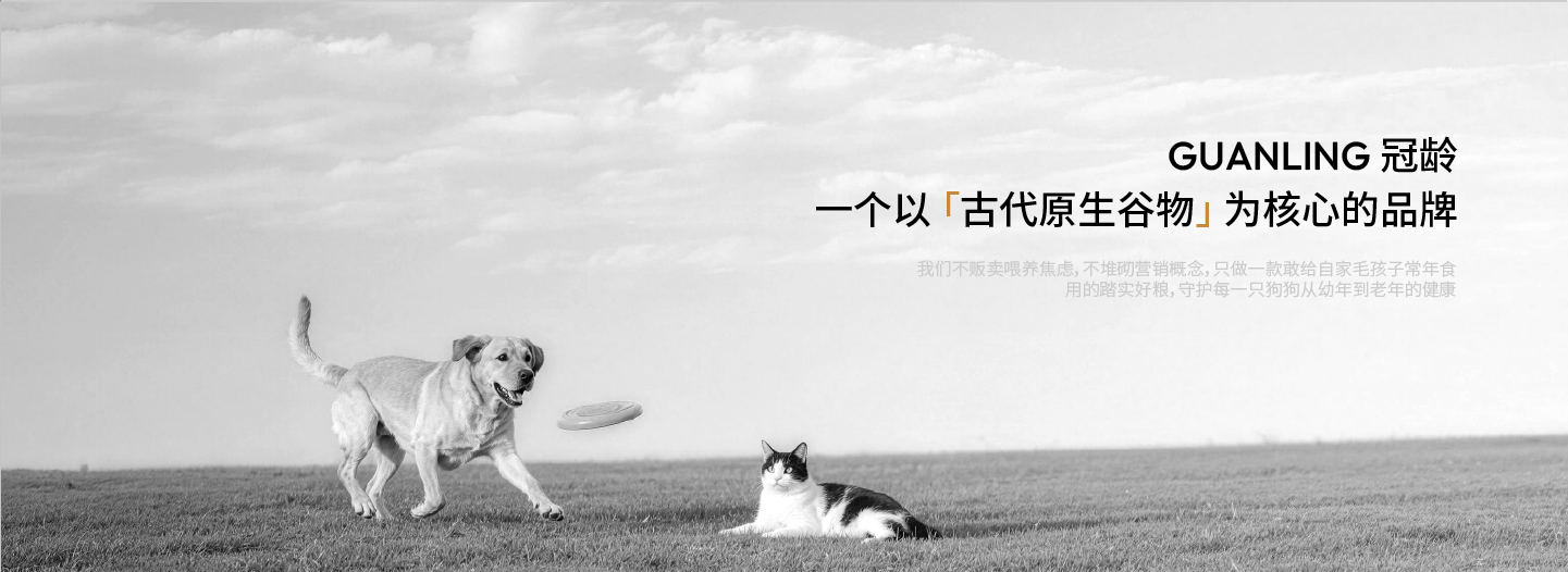 冠龄宠物 - 一个以古代原生谷物为核心的品牌