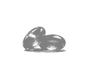 鱼油